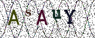 Visual Confirmation Security Code