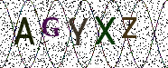 Visual Confirmation Security Code